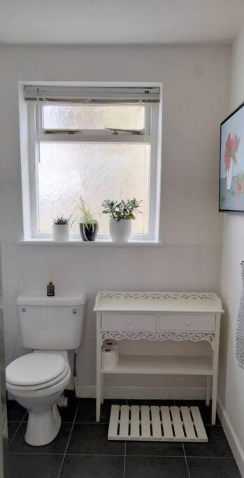 Apartamento The Flower House, Idyllic Cornish Retreat. Saint Erth Exterior foto