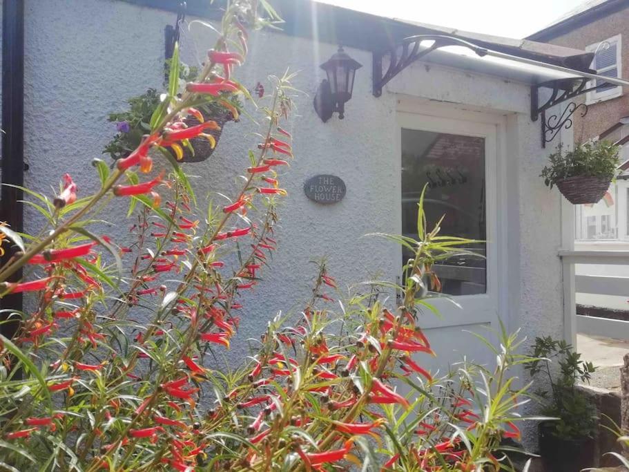 Apartamento The Flower House, Idyllic Cornish Retreat. Saint Erth Exterior foto